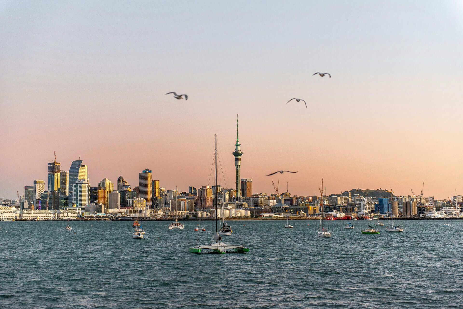 Auckland